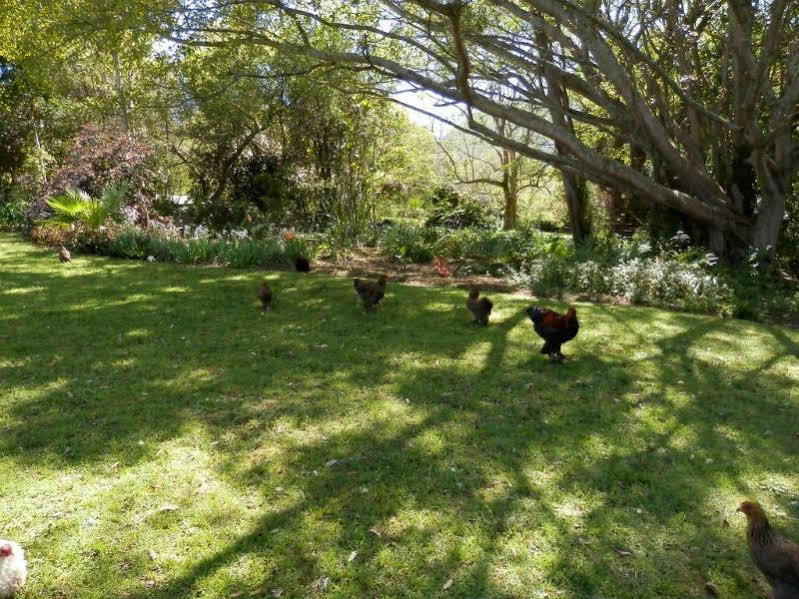 Braeside Guest House (Adults Only) Swellendam Exteriör bild